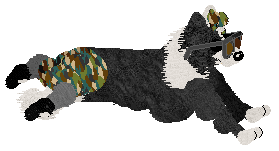 Crystal Rose's Law of Return at Come Bye — “Wiccan”