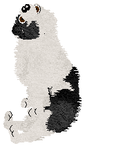 Crystal Rose's Law of Return at Come Bye — “Wiccan”