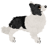 Crystal Rose's Law of Return at Come Bye — “Wiccan”