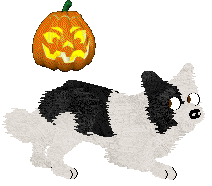 Crystal Rose's Law of Return at Come Bye — “Wiccan”