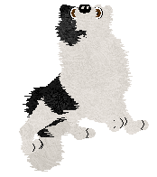 Crystal Rose's Law of Return at Come Bye — “Wiccan”