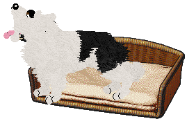 Crystal Rose's Law of Return at Come Bye — “Wiccan”