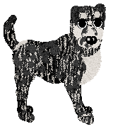 Billywix/Poppyhill's Book of Woodcraft — “Witchhazel”