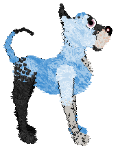 Tangled/Dh's Blue Hour — “Sable”