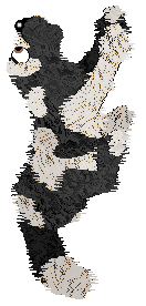 Amenity/Dh's In Vino Veritas — “Claret”