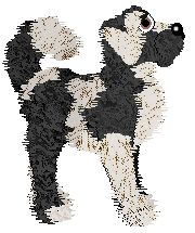 Amenity/Dh's In Vino Veritas — “Claret”