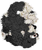 Amenity/Dh's In Vino Veritas — “Claret”