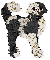 Amenity/Dh's In Vino Veritas — “Claret”