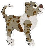 KGMK's Back Roads — “Curve”