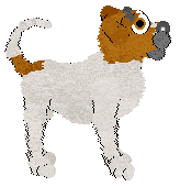 Cargo's Pet Rock — “Dirk”