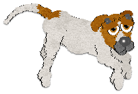 Profile image of Cargo's Pet Rock