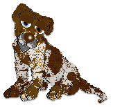 Profile image of Cargo's Starlight Symphony