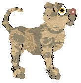 MMK Folk Medicine — “Rhodiola”