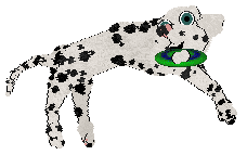 Mockingbird's Golden Hour Reckoning — “Dawn”