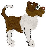 MMK's Deserved Earth — “Turmeric”