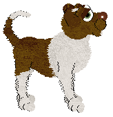 MMK's Deserved Earth — “Turmeric”