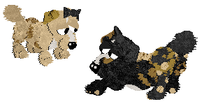 Funfetti/Poppyhill's Allsorts of Fun — “Liquorice”