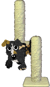 Funfetti/Poppyhill's Allsorts of Fun — “Liquorice”