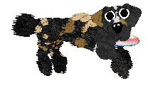 Funfetti/Poppyhill's Allsorts of Fun — “Liquorice”