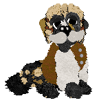 Funfetti/Poppyhill's Allsorts of Fun — “Liquorice”