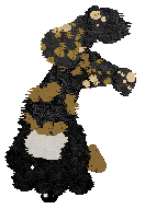 Funfetti/Poppyhill's Allsorts of Fun — “Liquorice”