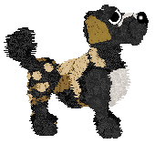 Funfetti/Poppyhill's Allsorts of Fun — “Liquorice”