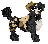 Funfetti/Poppyhill's Allsorts of Fun — “Liquorice”