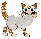 Cargo's Just An Extra — “Cameo”