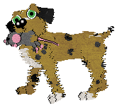 Dandy/Poppyhill's Yield To Temptation — “Strom”