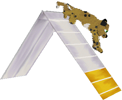 Dandy/Poppyhill's Yield To Temptation — “Strom”