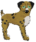 Profile image of Dandy/Poppyhill's Yield To Temptation