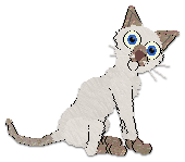 Profile image of Cargo's Winter Solstice