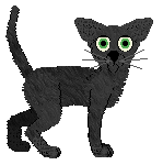 Cargo Herba Catti — “Cataria”