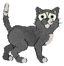 HK Subcutaneous Slang — “Muffin Top”