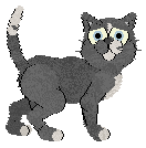 HK Subcutaneous Slang — “Muffin Top”