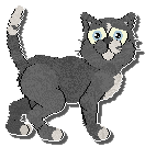 Profile image of HK Subcutaneous Slang