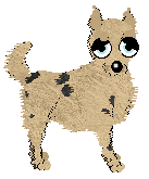 EC's Southern Belle — “Francesca”