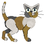 EC's Thorns and Feathers — “Acacia”