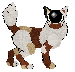 Doodle's Truck in Reverse — “Beepus”