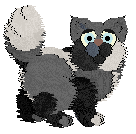 Cirrutopia's Treacherous Waters at Wild Road — “Skanor”