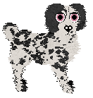 Profile image of Wild Road's Cotton Seed