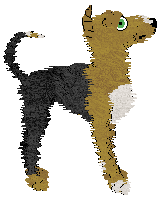 Profile image of Perfume's Banana Pie at Wild Road