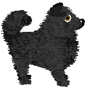 Profile image of Wild Road's Clean Laundry