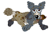 Funfetti/Poppyhill's Dressed in a Daydream — “Chiffon”