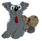 Funfetti/Poppyhill's Dressed in a Daydream — “Chiffon”