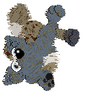 Funfetti/Poppyhill's Dressed in a Daydream — “Chiffon”