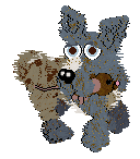 Funfetti/Poppyhill's Dressed in a Daydream — “Chiffon”