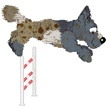 Funfetti/Poppyhill's Dressed in a Daydream — “Chiffon”