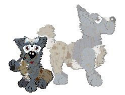 Profile image of Funfetti/Poppyhill's Dressed in a Daydream