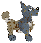 Funfetti/Poppyhill's Dressed in a Daydream — “Chiffon”